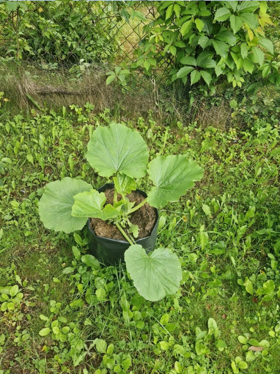 Пакеты у наших покупателей 3