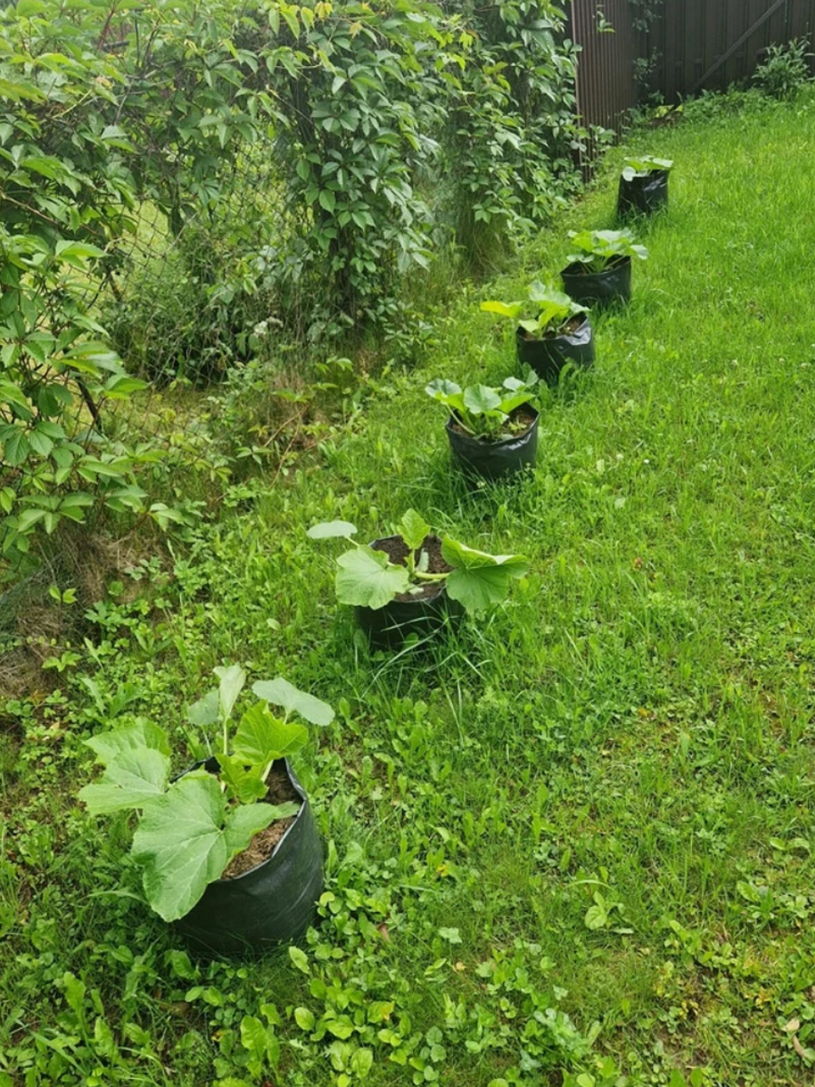 Пакеты у наших покупателей 4