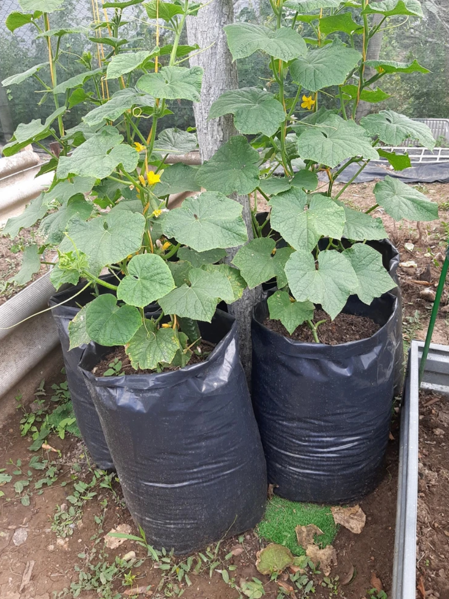 Пакеты у наших покупателей 5