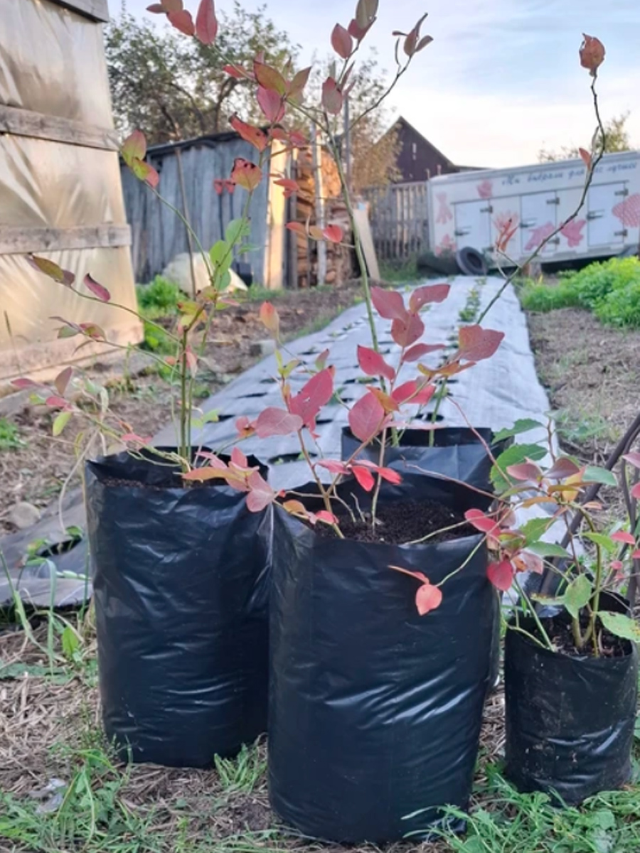 Пакеты у наших покупателей 6