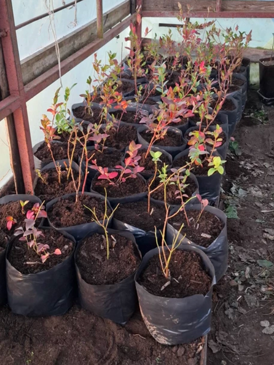 Пакеты у наших покупателей 7