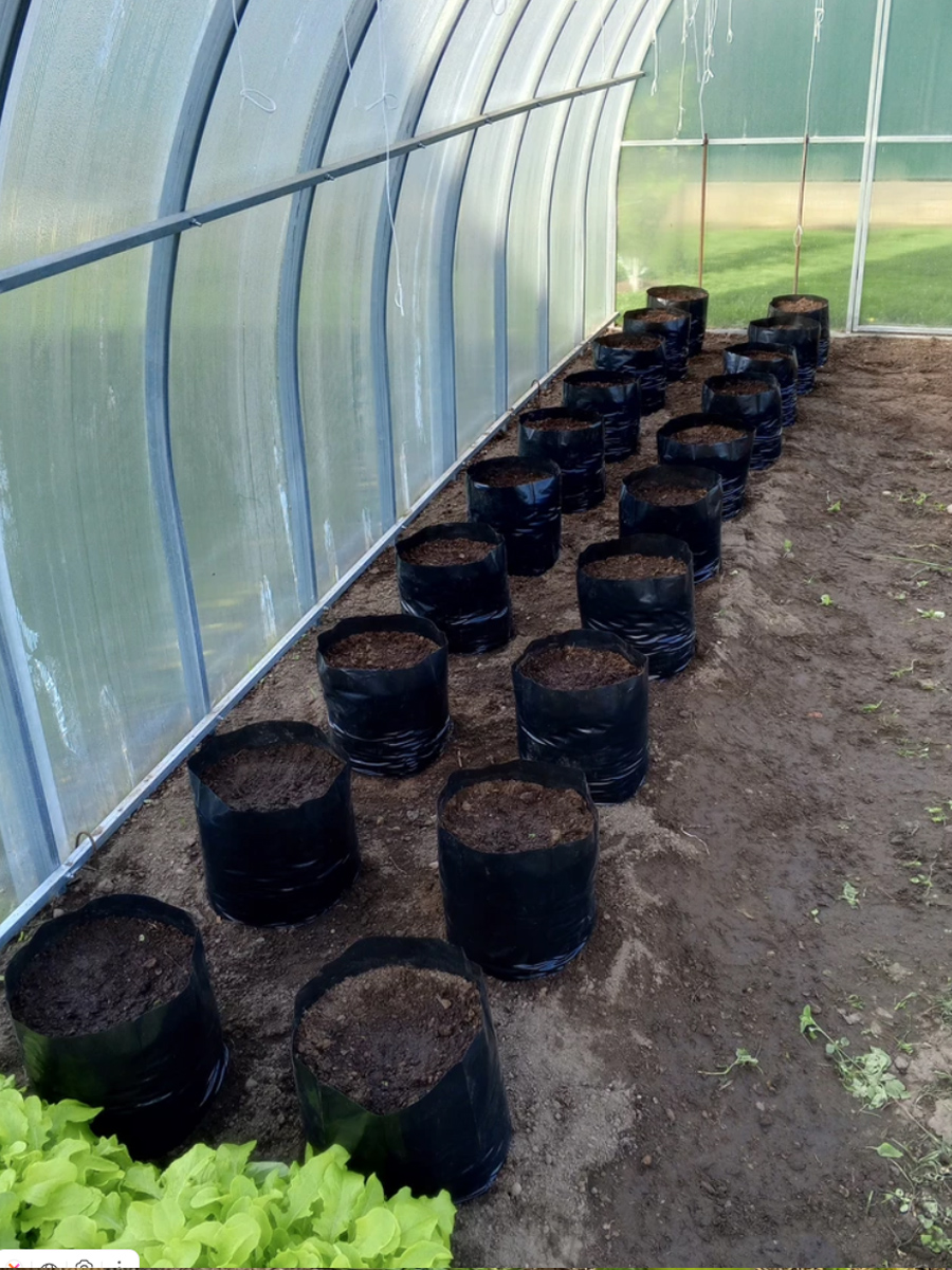 Пакеты у наших покупателей 8