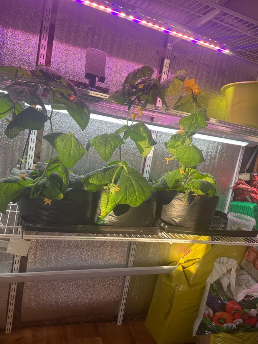 Пакеты у наших покупателей 9