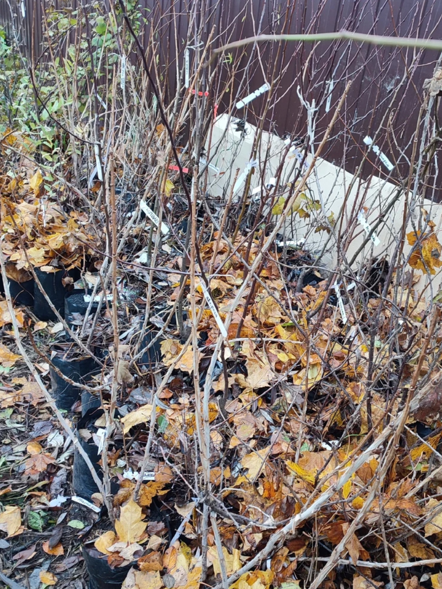 Хранение зимой