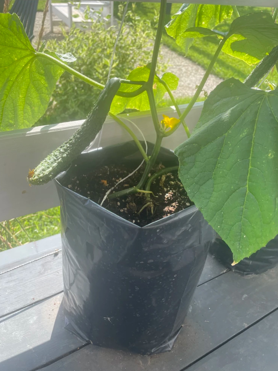 пакеты в деле 1