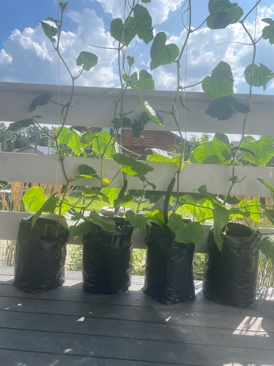 пакеты в деле 2